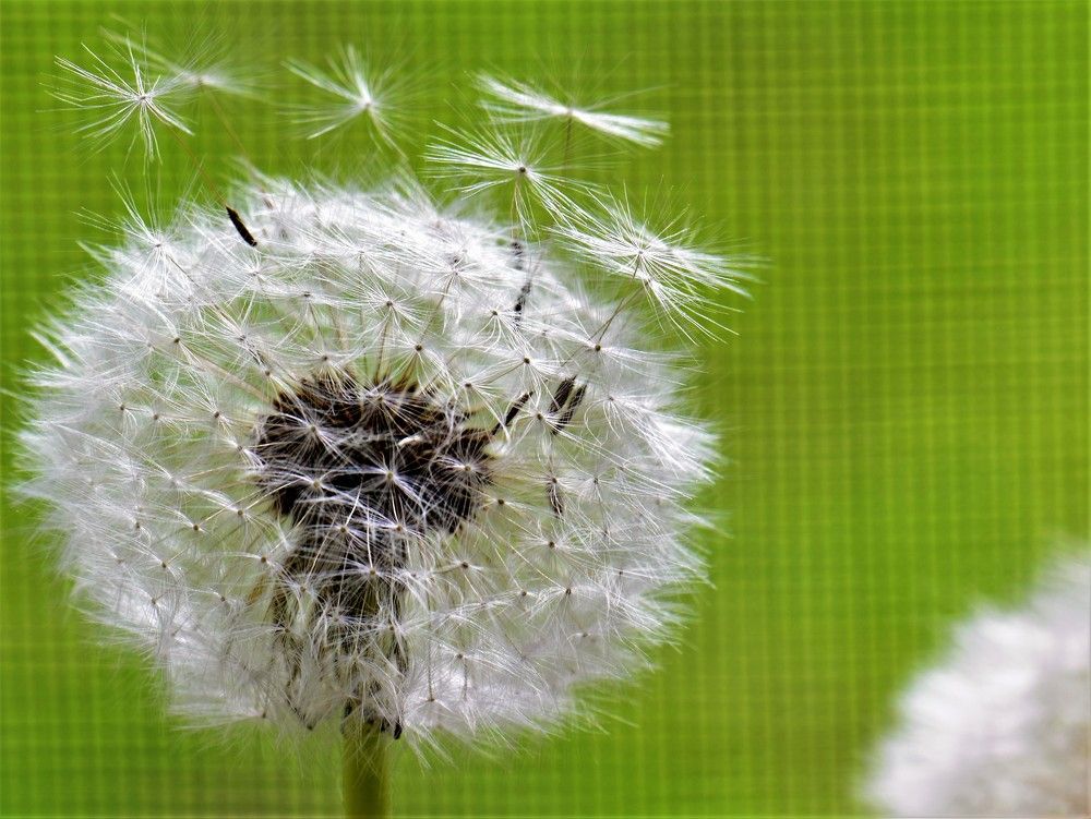 Фотография автора Альбина Хвастунова