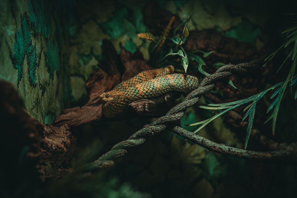 Photograph by Сергей Нестер