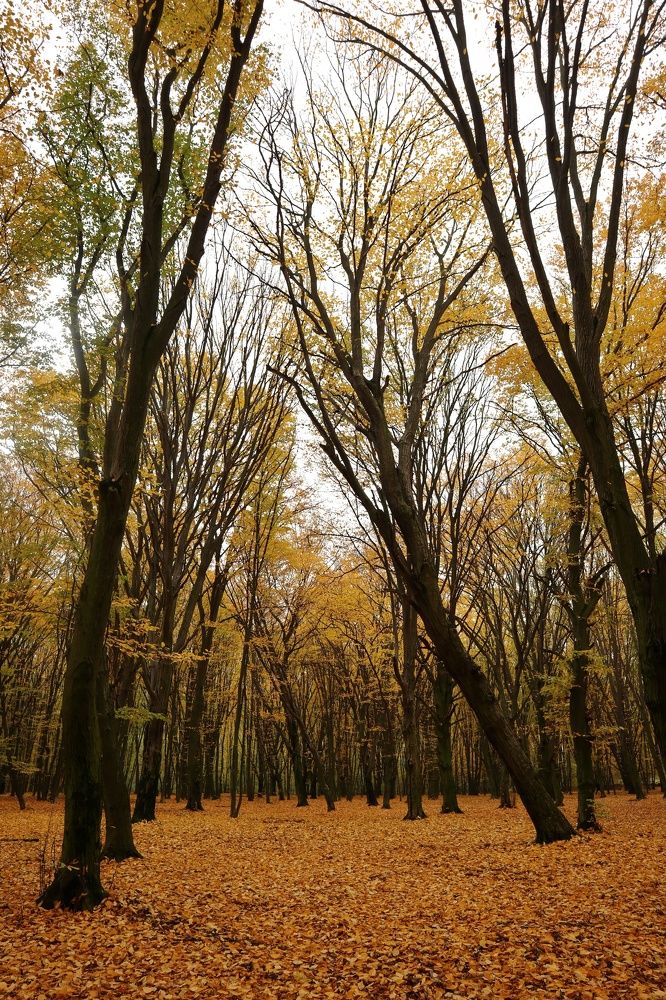 Photograph by Марина Шамич