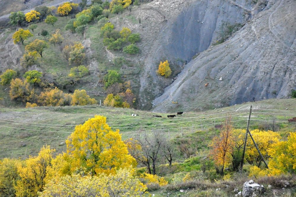 Photograph by Валерия Перфильева