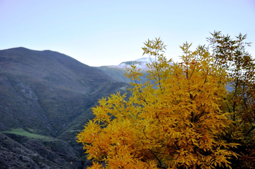 Photograph by Валерия Перфильева