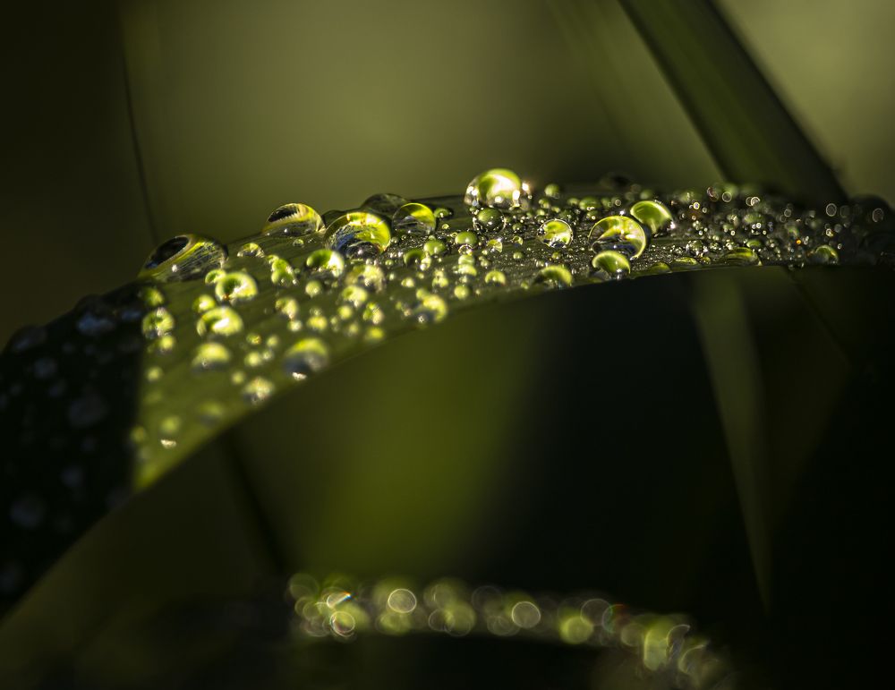 Photograph by Юлия Куликова