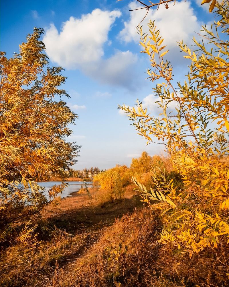 Photograph by Марина Шаповаленко