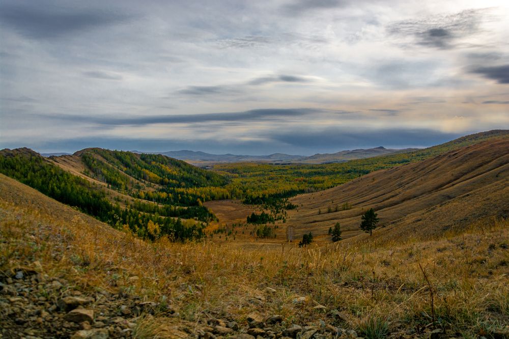 Photograph by Владимир