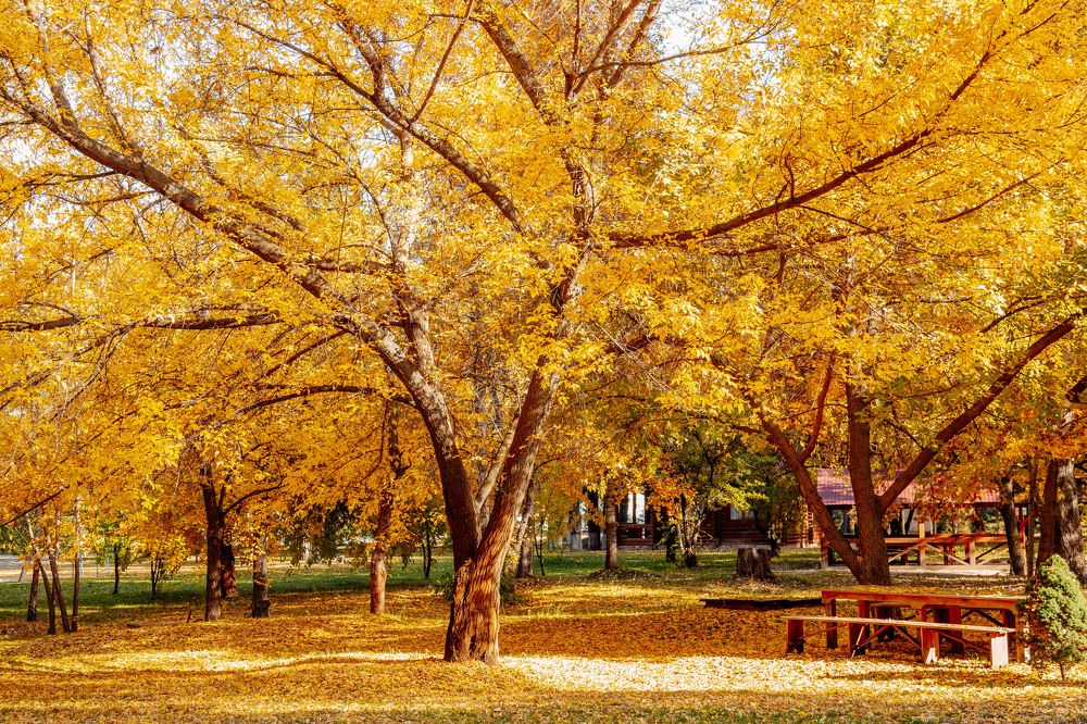 Photograph by Эльвира Грызлова