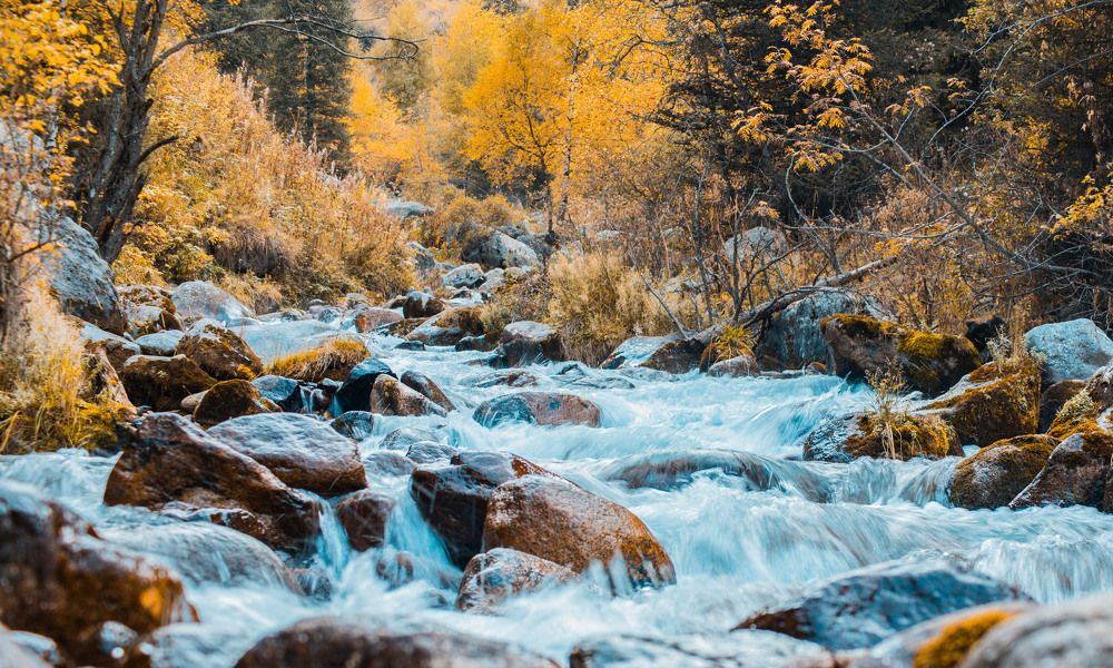 Photograph by Konstantin