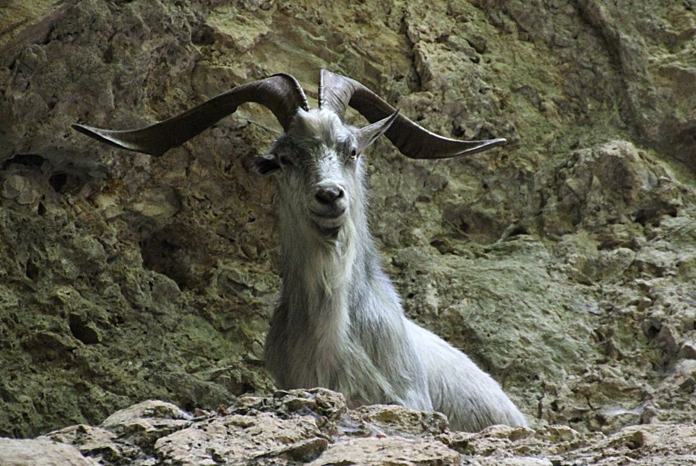 Photograph by Елена Поткина