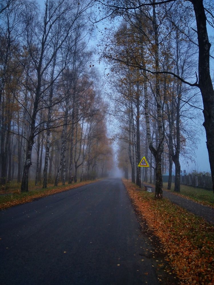 Фотография автора Виктор Конев