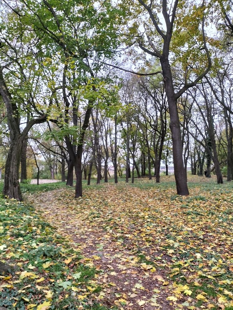Photograph by Христина Смолий