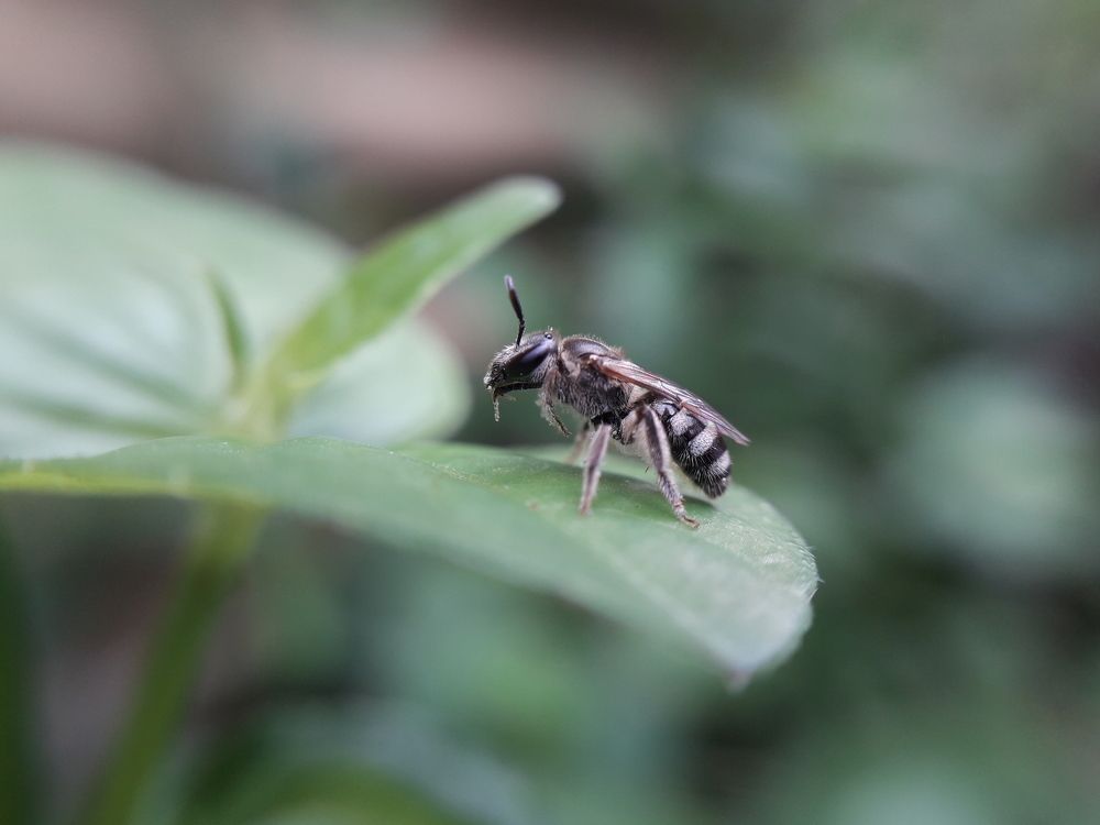 Photograph by Terence Ignatius