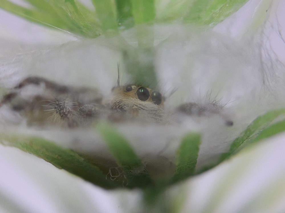 Photograph by Terence Ignatius