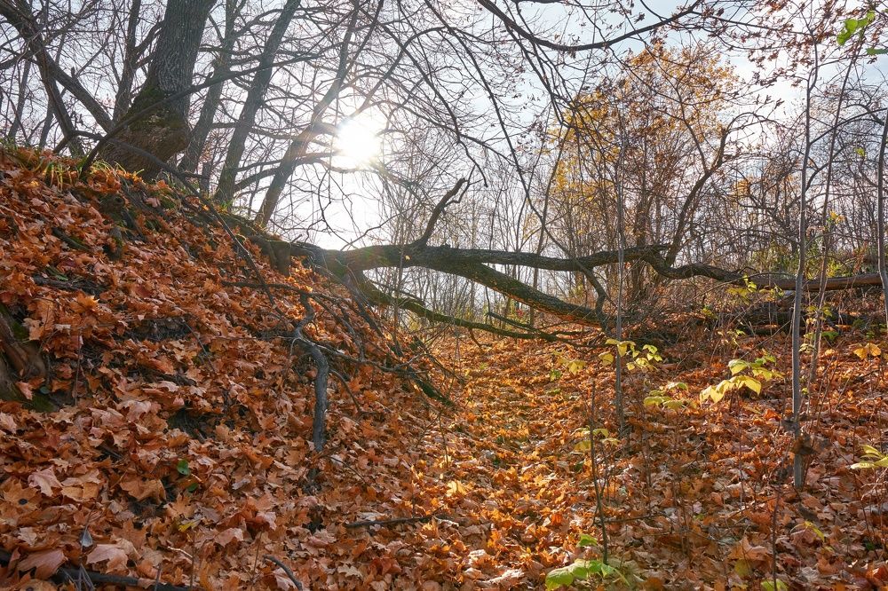 Photograph by Georgiy