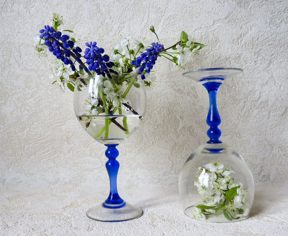Muscari and cherry flowers in a wine glass