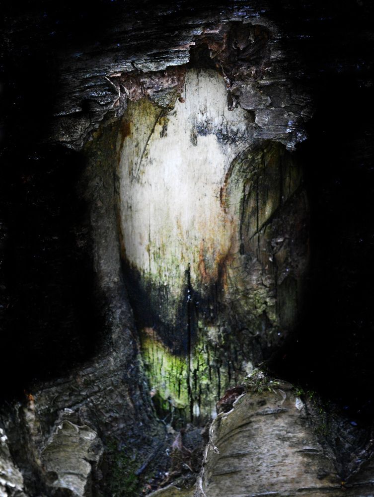 Photograph by Борис Кравецкий