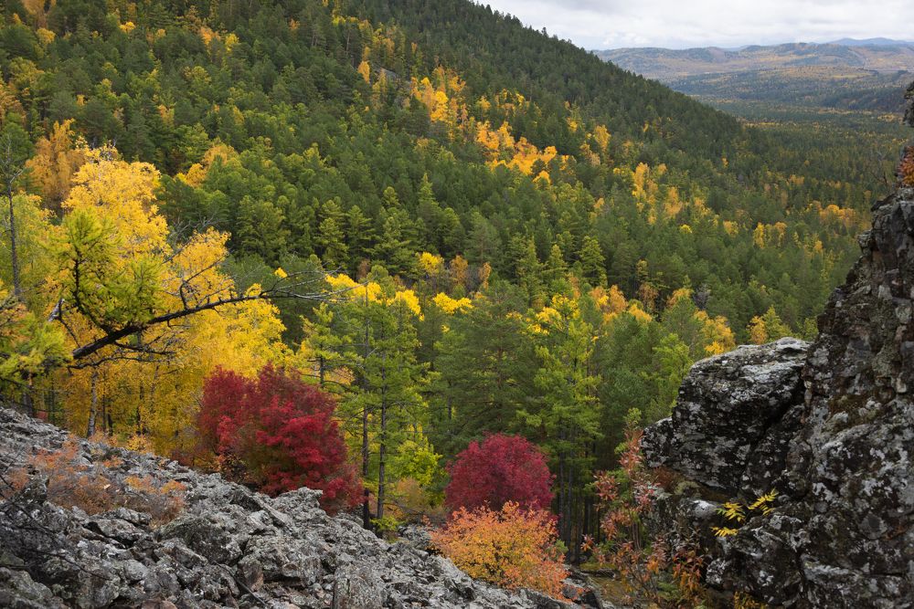 Photograph by Елена Вторушина