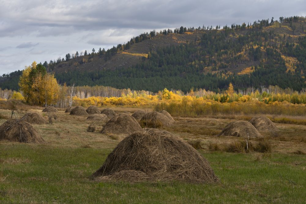 Photograph by Елена Вторушина