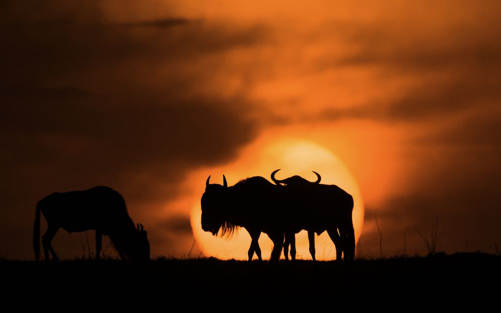 Photograph by Vignesh Ramachandran