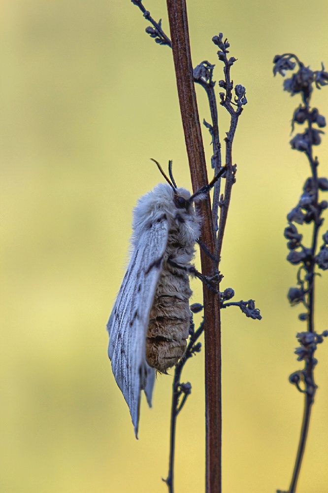 Фотография автора Екатерина Першина