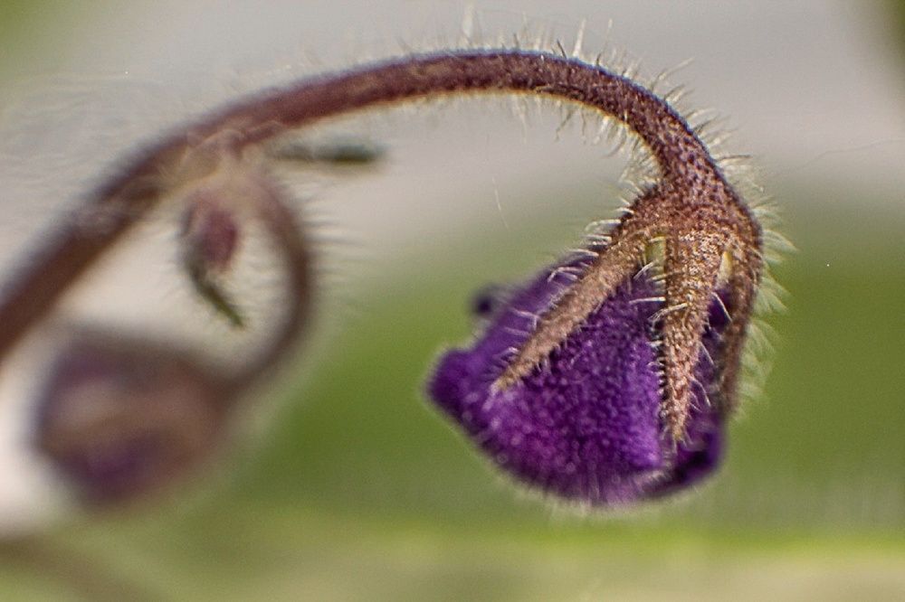 Фотография автора Екатерина Першина