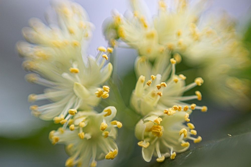 Фотография автора Екатерина Першина