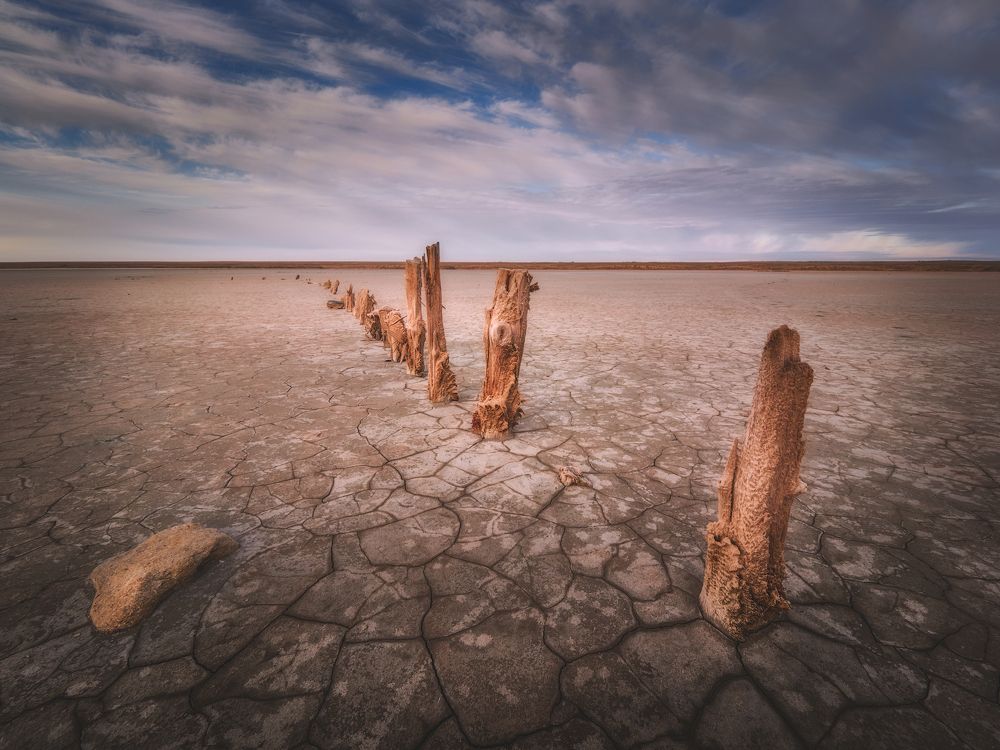 Странники в пустыне.