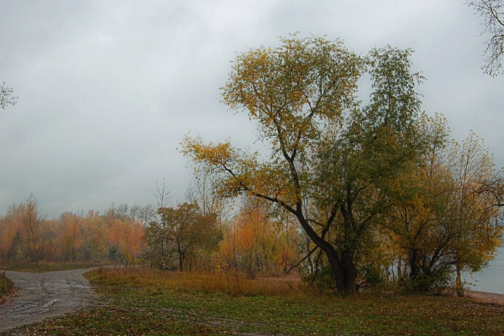 Фотография автора Екатерина Першина