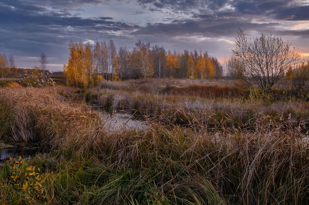 Фотография автора Виктор Долматов