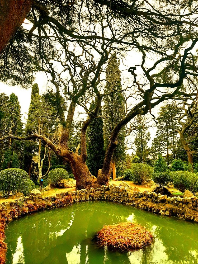 Весеннее утро в Ботаническом саду