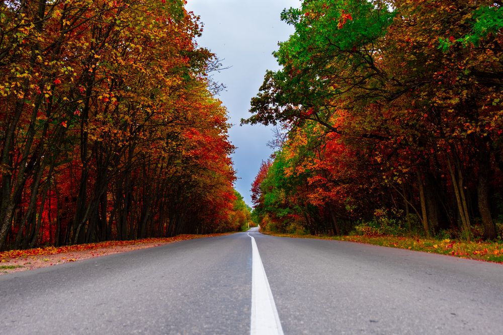 Photograph by Алексей Шалашов