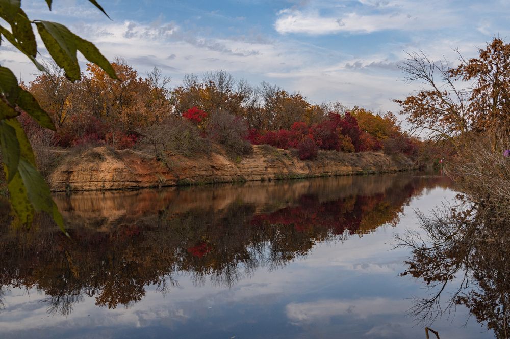 Краски леса.