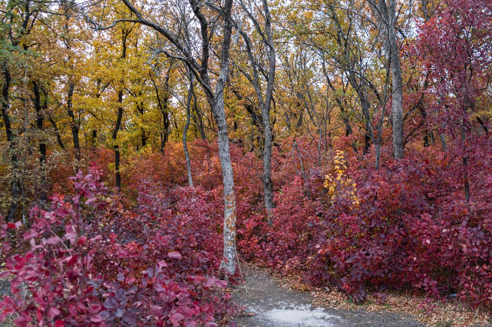 Photograph by Игорь Пекарский