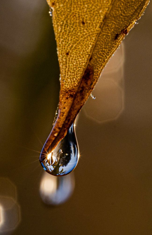 Photograph by Александр Есликов