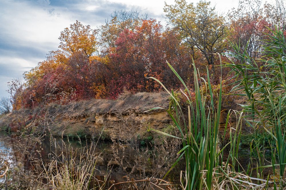 Photograph by Игорь Пекарский