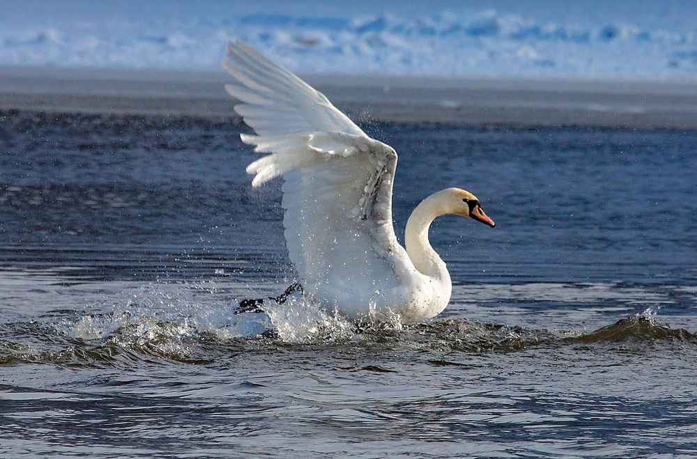 Photograph by Александр Есликов