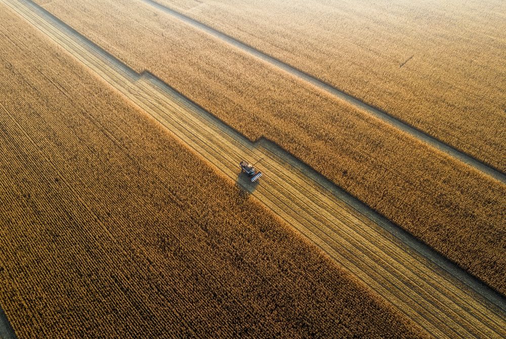 Photograph by Николай Брытков