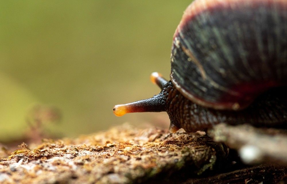 Photograph by Sahan Thinusha