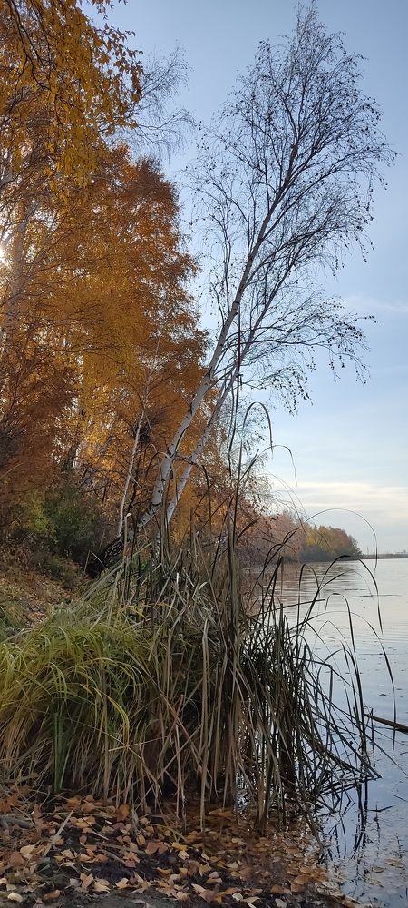 Photograph by Валентин Волк