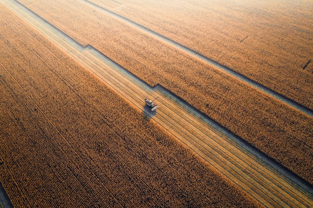 Один в поле воин. One warrior in the field.
