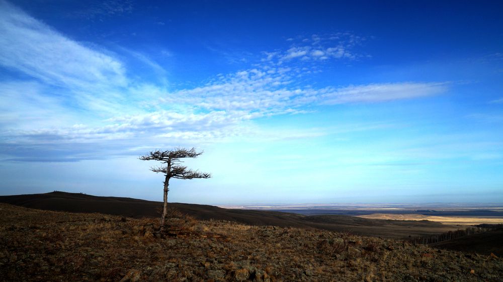 Photograph by Нияз Мирхайдаров