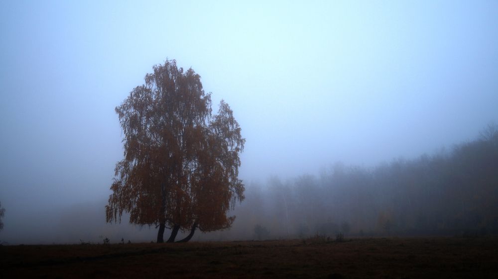 Photograph by Нияз Мирхайдаров