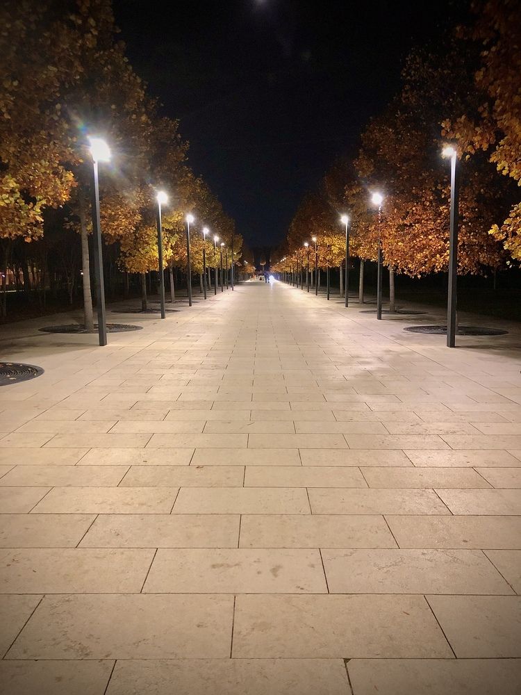 Photograph by Николаева Светлана