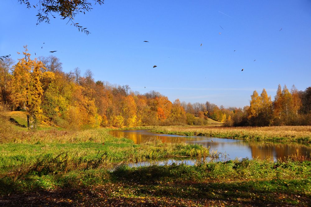 Фотография автора Антип