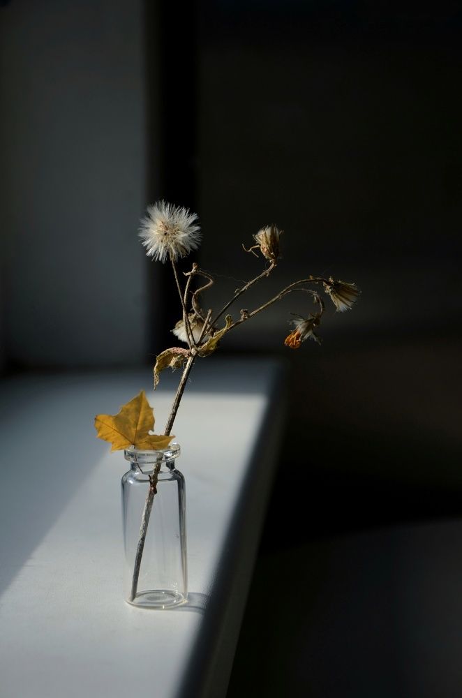 Photograph by Ирина Никитина