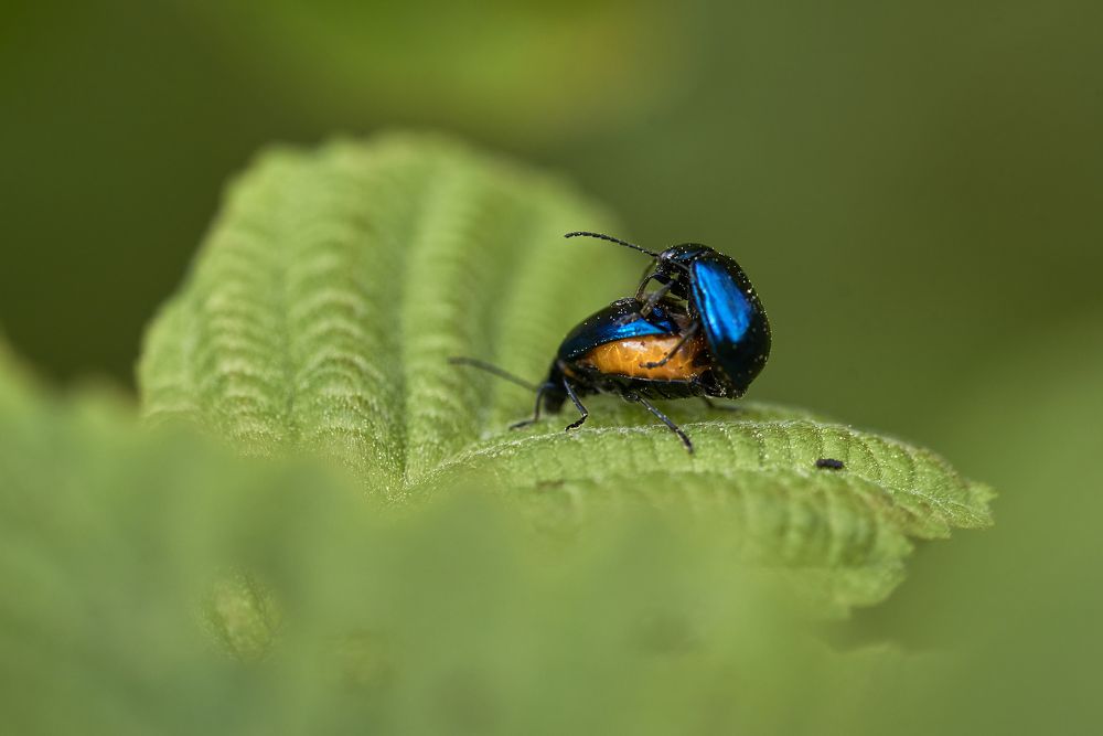 Я уж к ней и так и эдак