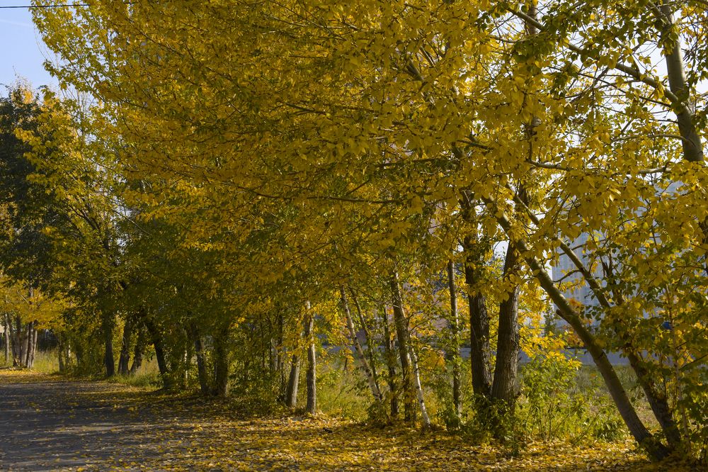 Фотография автора Катрин Евстратова