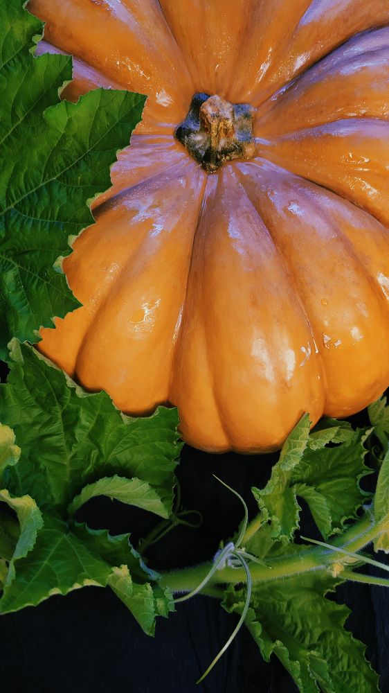 Photograph by Екатерина Щербакова