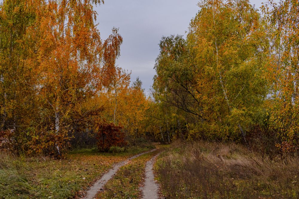 Photograph by Александр Бачурский