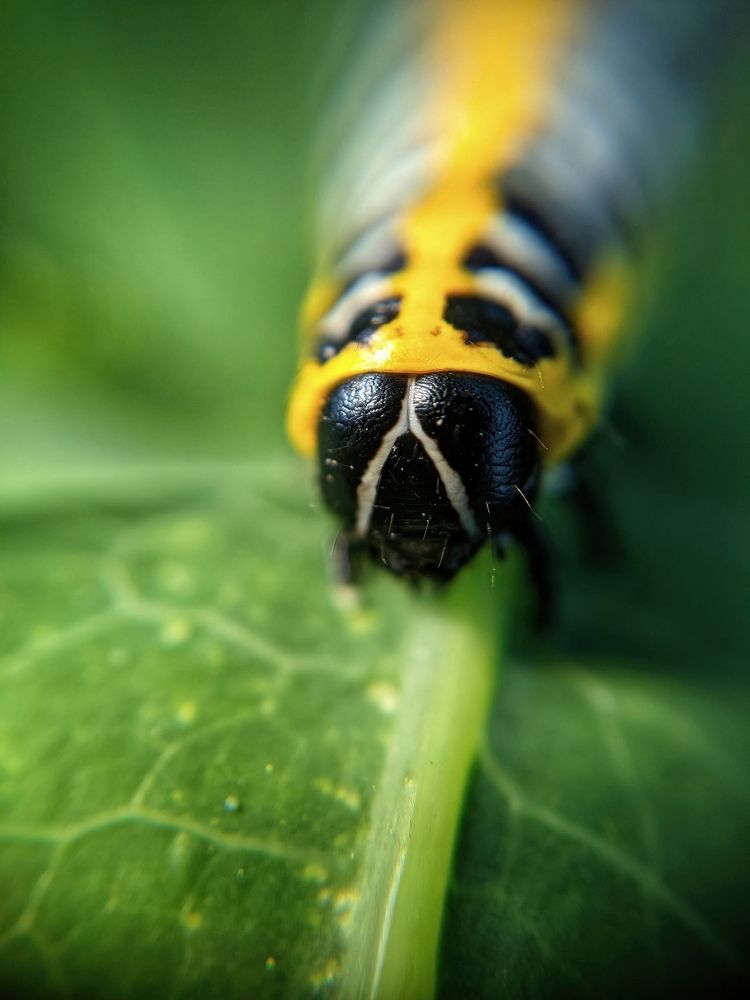 Photograph by Александр Дудников