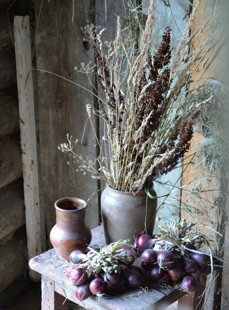 Photograph by OLga Solovyova