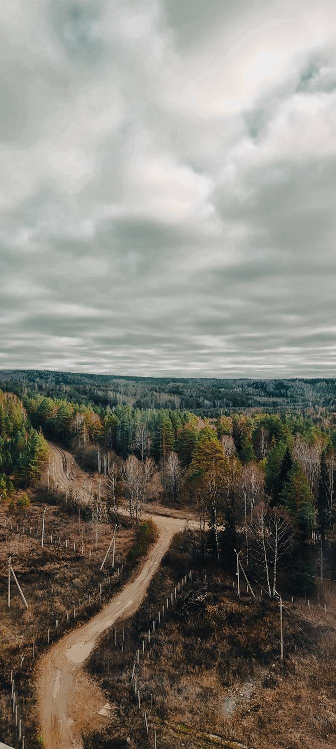 Дорога в осень